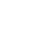 Dice