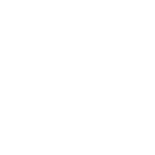 Live Icon